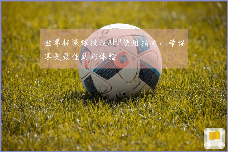 世界杯滚球投注APP使用指南，带你享受最佳购彩体验