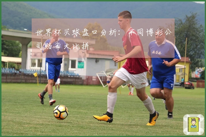 世界杯买球盘口分析：不同博彩公司赔率大比拼
