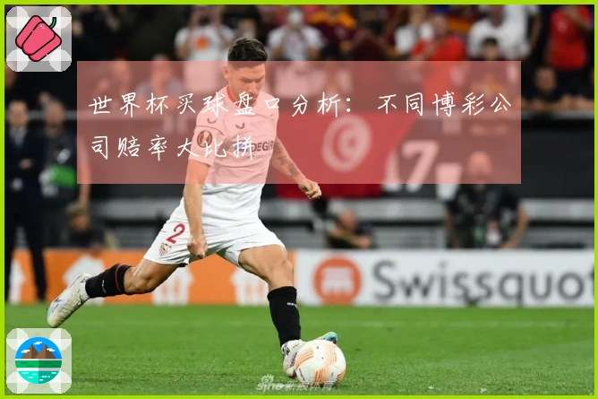 世界杯买球盘口分析：不同博彩公司赔率大比拼