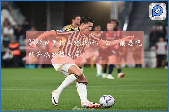 2026世界杯买球技巧，你不能忽视的实战经验分享