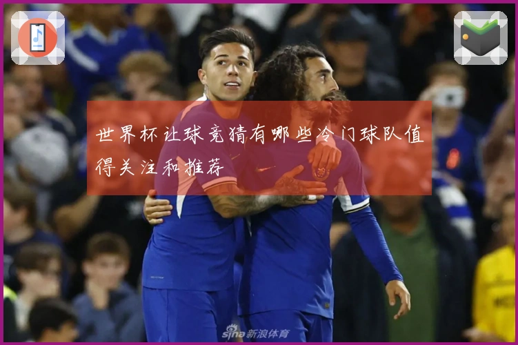 世界杯让球竞猜有哪些冷门球队值得关注和推荐