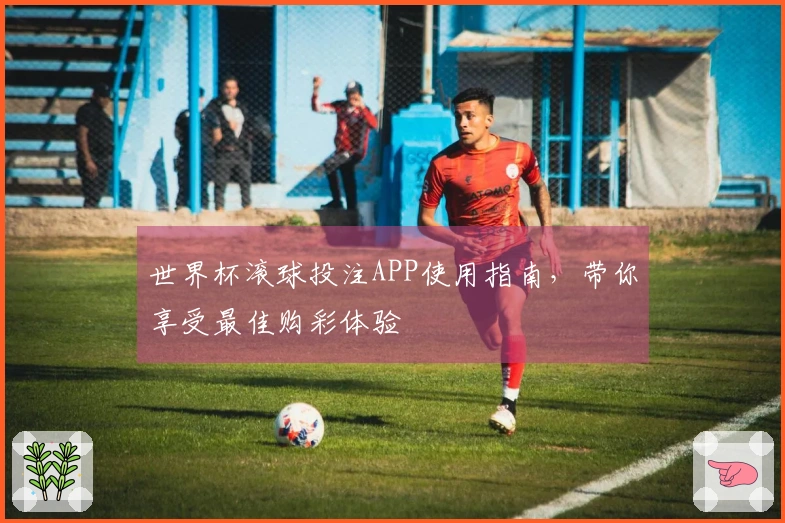 世界杯滚球投注APP使用指南，带你享受最佳购彩体验